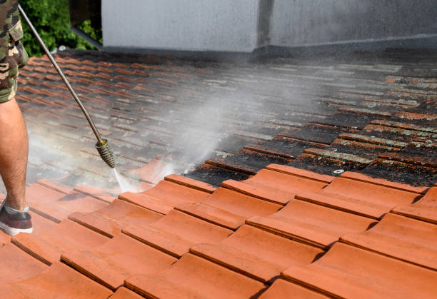 Best Residential Pressure Washing Services  in Marshall, VA